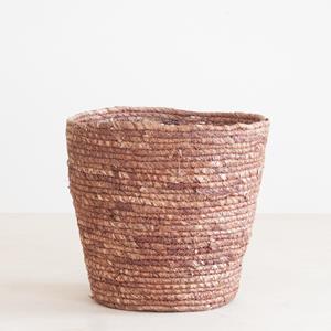 Plantje Riga - P21