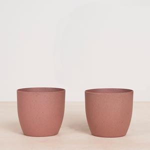 Plantje Oslo Roze - P12 (2 stuks)
