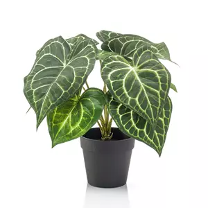 Plantje Anthurium Clarinervium 25 cm - Kunstplant