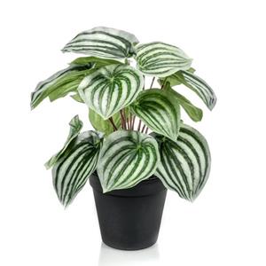Plantje Peperomia 25 cm - Kunstplant