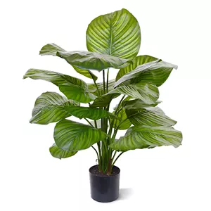 Plantje Calathea Fasciata 70 cm - Kunstplant
