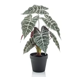 Plantje Alocasia Bush 40 cm - Kunstplant