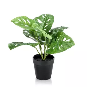 Plantje Monstera Monkey Bush 30 cm - Kunstplant