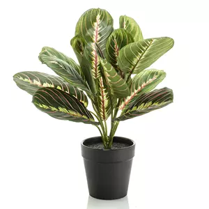 Plantje Maranta Bush 30 cm - Kunstplant