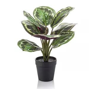 Plantje Calathea Bush Groen 35 cm - Kunstplant