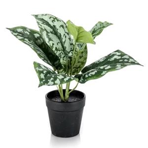 Plantje Scindapsus 30 cm - Kunstplant