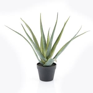 By-Boo Kunstplant Aloë Vera 58cm hoog - Groen