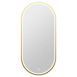 Vtw Living  Badkamerspiegel Ovaal met Verlichting 50 x 100 cm Goud
