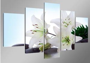 Karo-art Schilderij-Witte Lelie, 160x80cm 5luik