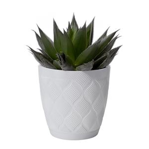 Form Plastic Plantenpot/bloempot New Age - kunststof - ivoor wit - D17 x H15 cm - met schotel -