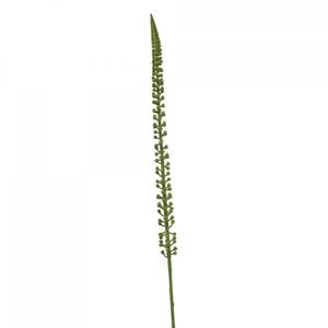 Woonexpress Donkey tail