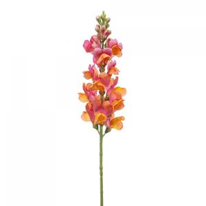 Woonexpress Antirrhinum