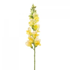 Woonexpress Antirrhinum