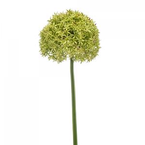Woonexpress Allium