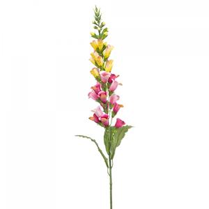 Woonexpress Digitalis