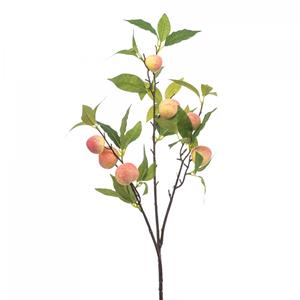 Woonexpress Peach