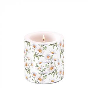Ambiente 35 Branduren