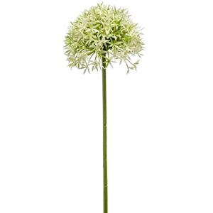 Woonexpress Allium
