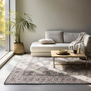 HANSE Home Vloerkleed FLÖDE Orient look, slijtvast, onderhoudsvriendelijk, robuust