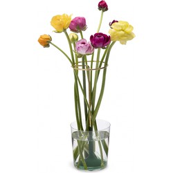 Peleg Design Invisivase Bloemstandaard