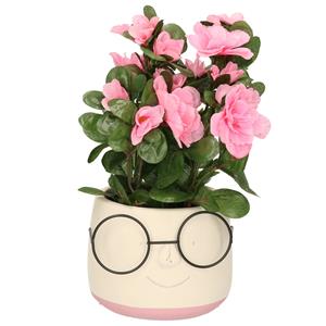 Dijk Natural Collections Plantenpot bril - wit/lichtroze - 13x10cm -