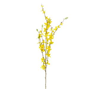 Xenos Kunstbloem forsythia - geel - 100 cm