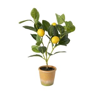 Xenos Kunstplant citroenboompje - 38 cm