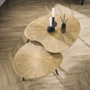 LifestyleFurn Organische Salontafel Miya Ray Metal, Set van 2 stuks - Brons ray metal