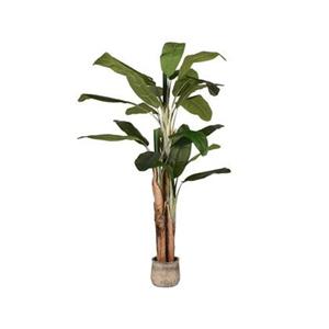 Vtw Living Kunstplant Musa Bananenplant - Groen - Kunststof - 110 x 110 x 180 cm
