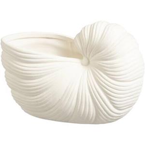 Leen Bakker Decoratie object Schelp - off-white - 10x20x12 cm