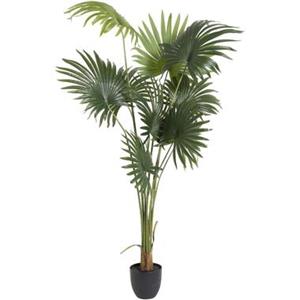 Leen Bakker Kunstplant Waaierpalm - in-pot - groen/zwart - 180 cm