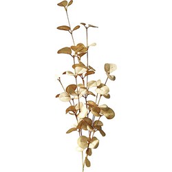 Buitengewoon de boet Eucalyptus bladeren 70cm old white - 