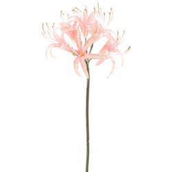 Nova nature Nerine spray old pink 90 cm kunstbloemen - 