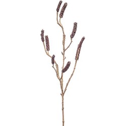 Emerald Callistemon branch burgundy 85 cm - 