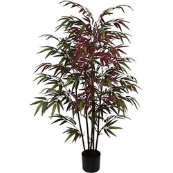 Buitengewoon de boet Bamboe rood 130 cm - 