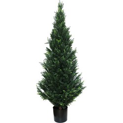 Buitengewoon de boet Cedar 152 cm - 