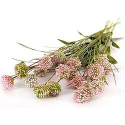 Buitengewoon de boet Kunst Tak Allium Roze - 