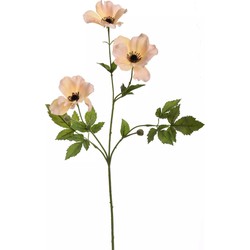 Hortus Anemoonsteel l64 cm perzik - 