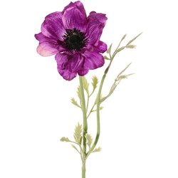 Driesprong collection Anemoon nora 1 bloem h53 cm paars kunstbloem zijde nepbloem - 