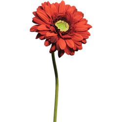 Nova nature Gerbera Nice red 48 cm kunstbloem - 