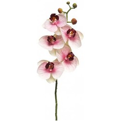 Nova nature Kunst Phalaenopsis Orchidee Bora 58 cm - Roze - 