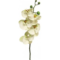Nova nature Kunst Phalaenopsis Orchidee Bora 58 cm - Wit - 
