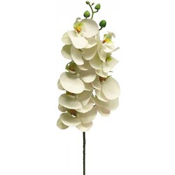 Nova nature Phalaenopsis Orchidee Bora 77 cm wit kunstbloem - 