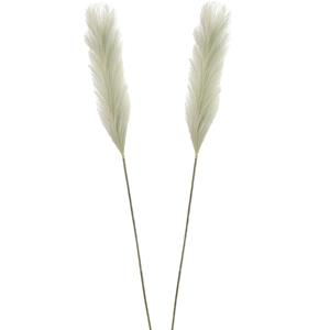 Mica Decorations Pluimgras losse steel/tak - 2x - salie groen - cm - Decoratie kunst pluimen -
