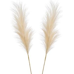 Emerald Pampasgras pluim losse steel/tak - 2x - creme wit - 115 cm - Decoratie kunst graspluimen -