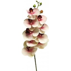 Nova nature Phalaenopsis Orchidee Bora 77 cm roze kunstbloem - 