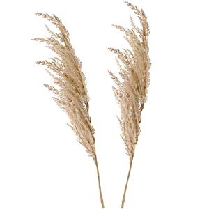 TopArt Pampasgras pluim losse steel/tak - 2x - creme wit - 100 cm - Decoratie kunst graspluimen -