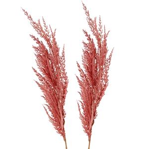 TopArt Pampasgras pluim losse steel/tak - 2x - oudroze - 100 cm - Decoratie kunst graspluimen -