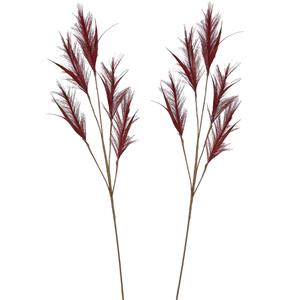 House of Seasons Pluimgras losse steel/tak - 2x - meerdere stengels - bordeaux rood - cm - Decoratie pluimen -