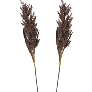 Mica Decorations Pampasgras pluim losse steel/tak - 2x - bruin - 88 cm - Decoratie kunst graspluimen -